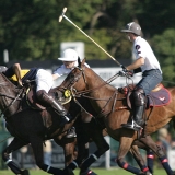 Photoscience - Polo and Wedding photographers in Hampshire Surrey and Sussex